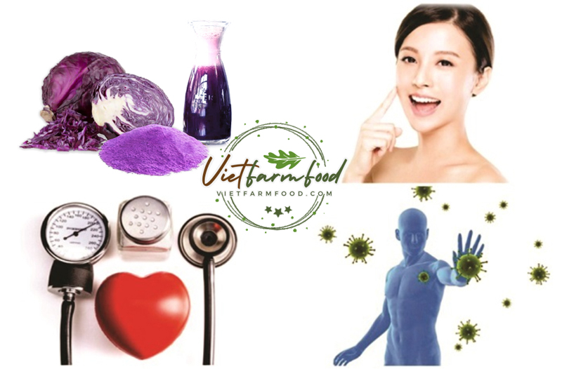 bot-bap-cai-tim-purple-cabbage-powder-say-lanh