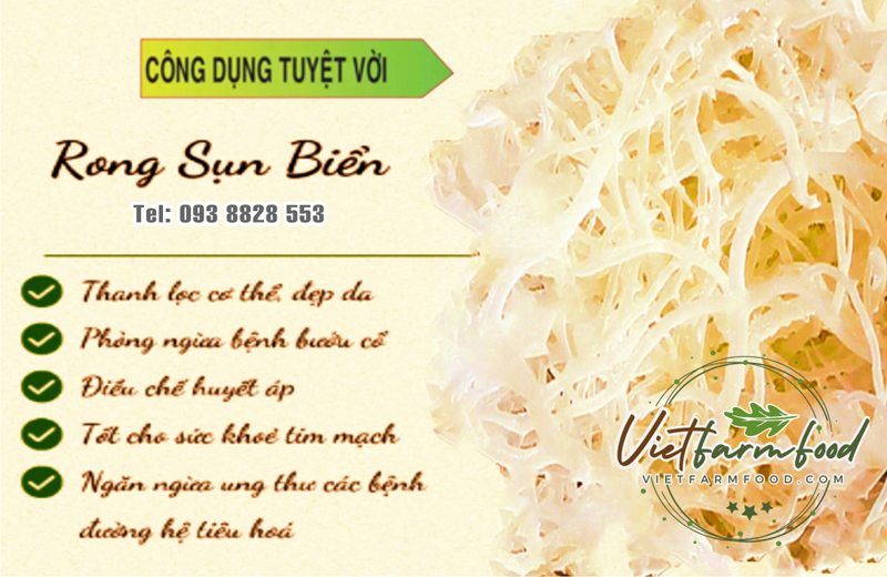 rong-sun-kho-093-8828-553 rong-sun-kho-093-8828-553