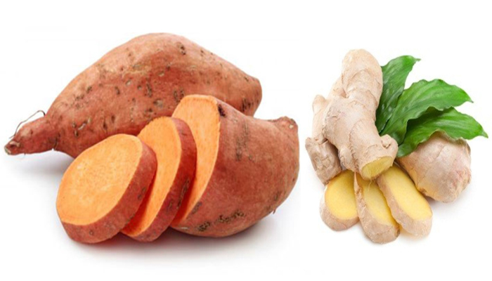 khoai-lang-gung-say-deo-dalat-trai-cay-say-dac-san-cao-cap-com khoai-lang-gung-say-deo-dalat-trai-cay-say-dac-san-cao-cap-com