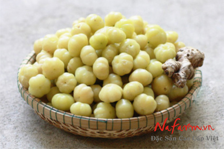 mut-chum-ruot-trai-cay-hat-say-dac-san-nafram mut-chum-ruot-trai-cay-hat-say-dac-san-nafram