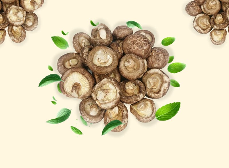 nam-dong-co-kho-gion-khong-duong-say-thang-hoa-crispy-shiitake-mushroom-dac-san-cao-cap-nafarm-vn-3