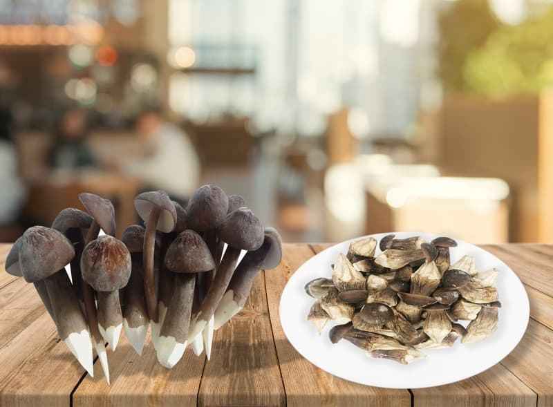 nam-moi-kho-gion-khong-duong-say-thang-hoa-crispy-termite-mushroom-dac-san-cao-cap-nafarm-vn-093-8828-553-1