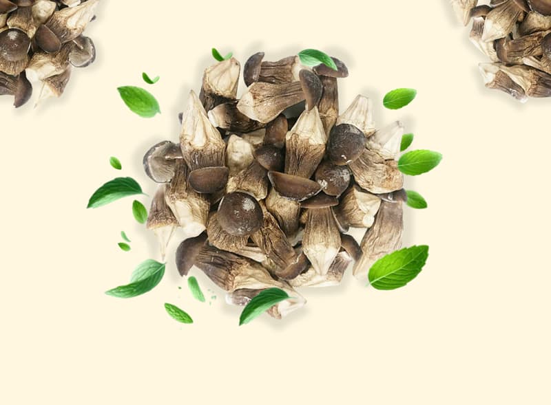 nam-moi-kho-gion-khong-duong-say-thang-hoa-crispy-termite-mushroom-dac-san-cao-cap-nafarm-vn-093-8828-553-3