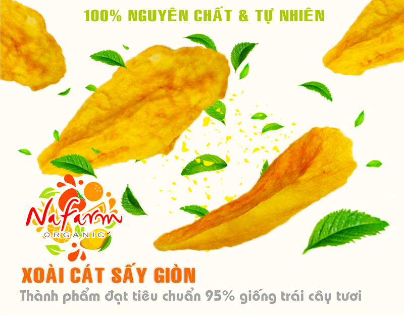 xoai-cat-gion-don-say-thang-hoa-dac-san-nafarm-093-8828-883-1