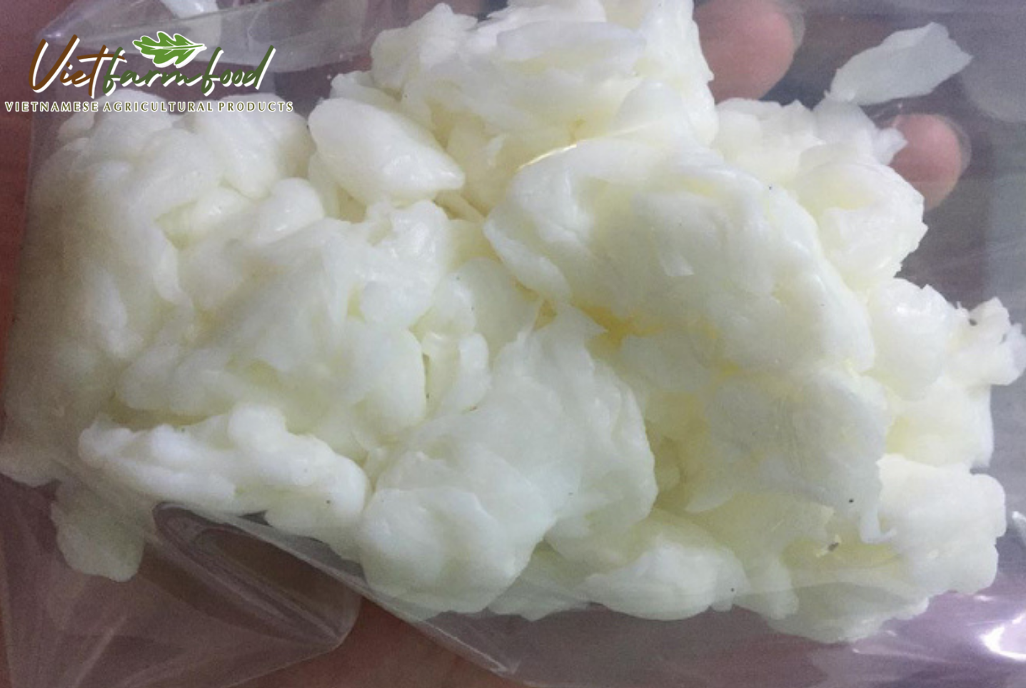 thach-dua-tho-vietfarmfood-hotliline-093-8828-553 thach-dua-tho-vietfarmfood-hotliline-093-8828-553