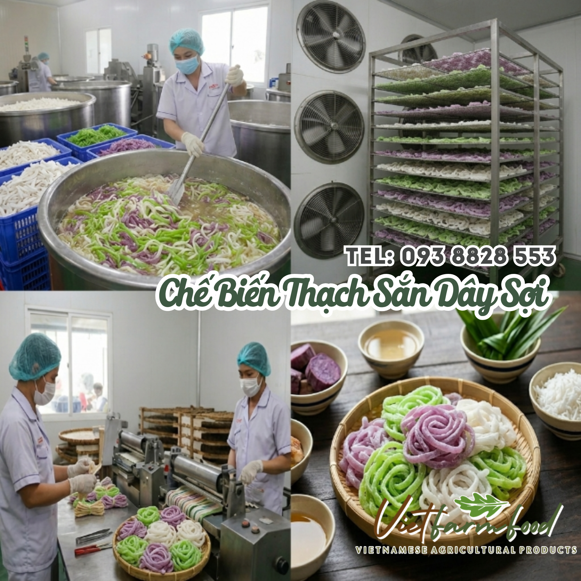 thach-san-day-soi-dac-san-nong-san-viet-farm-food-hotline-093-8828-553 thach-san-day-soi-dac-san-nong-san-viet-farm-food-hotline-093-8828-553