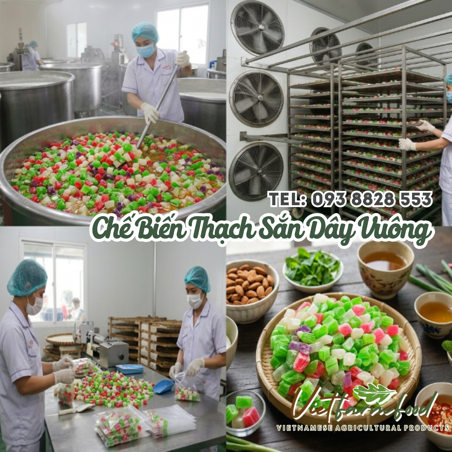 thach-san-day-vien-093-8828-553 thach-san-day-vien-093-8828-553